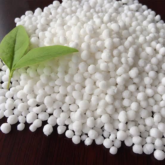 Urea N46